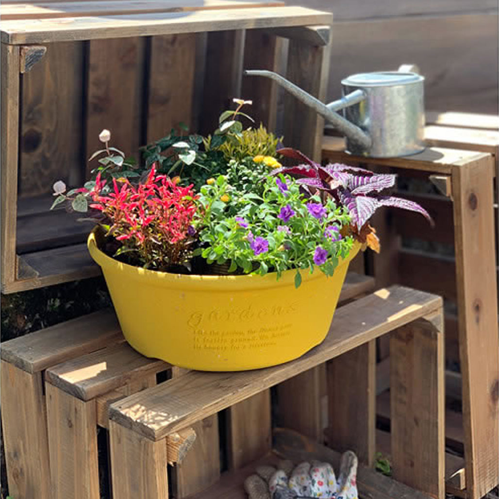 GARDEN - PLANTEBALJE 11 LITER - SENNEPSGUL