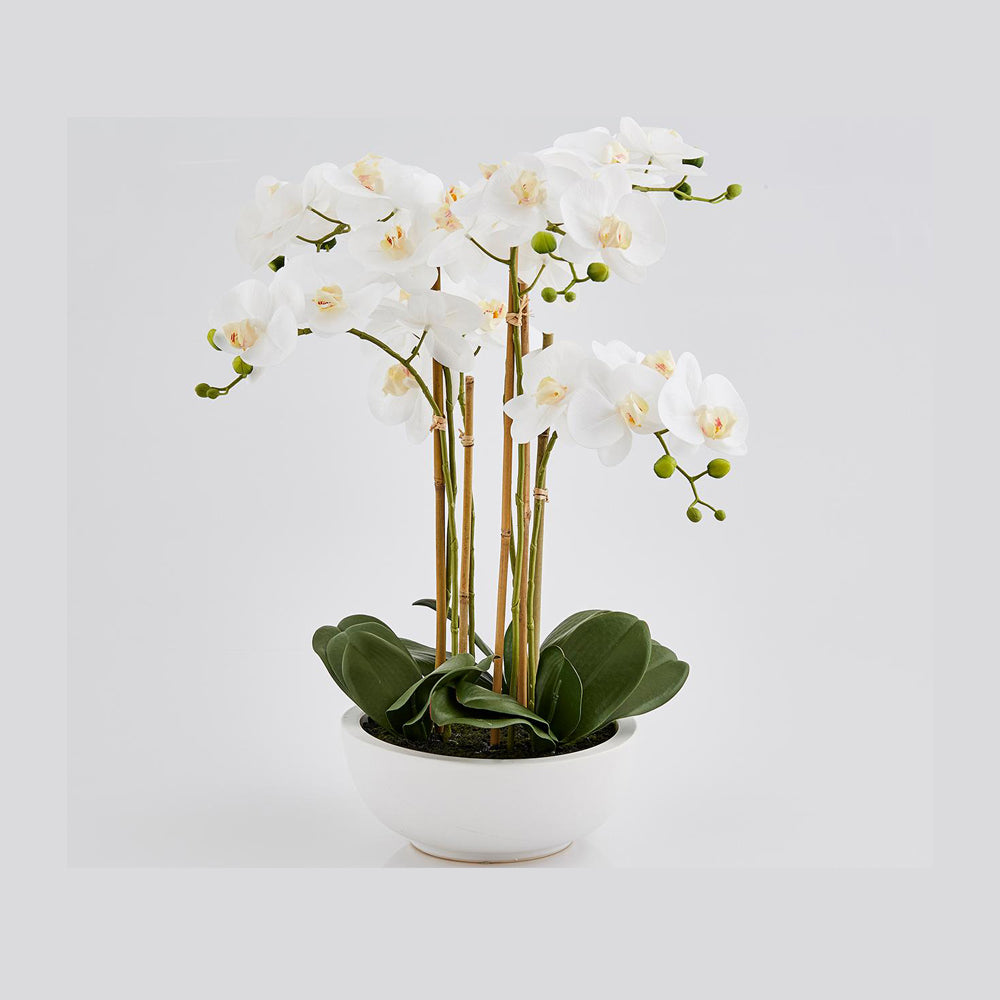 EDG KUNSTIG ORKIDÉ M/POTTE - 64 CM - HVIT