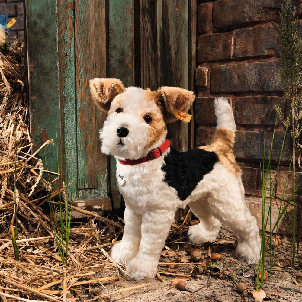 FOXI FOXTERRIER 35CM
