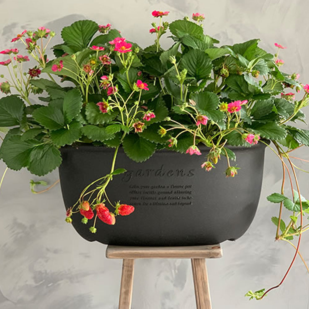 OVAL POTTE + UNDERSKÅL 19L - SVART